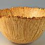 This is a piece of Box Elder burl I got from a friend in Utah. It's about 9" across by 5" tall, with 3/8" walls, and yes, the spikes are as sharp as they look. This is the most impressive piece of Box Elder I've had the pleasure of turning.